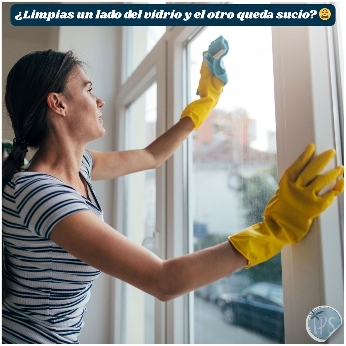 PALMERA SHOP - Limpiador De Vidrios Y Ventanas Magnetico