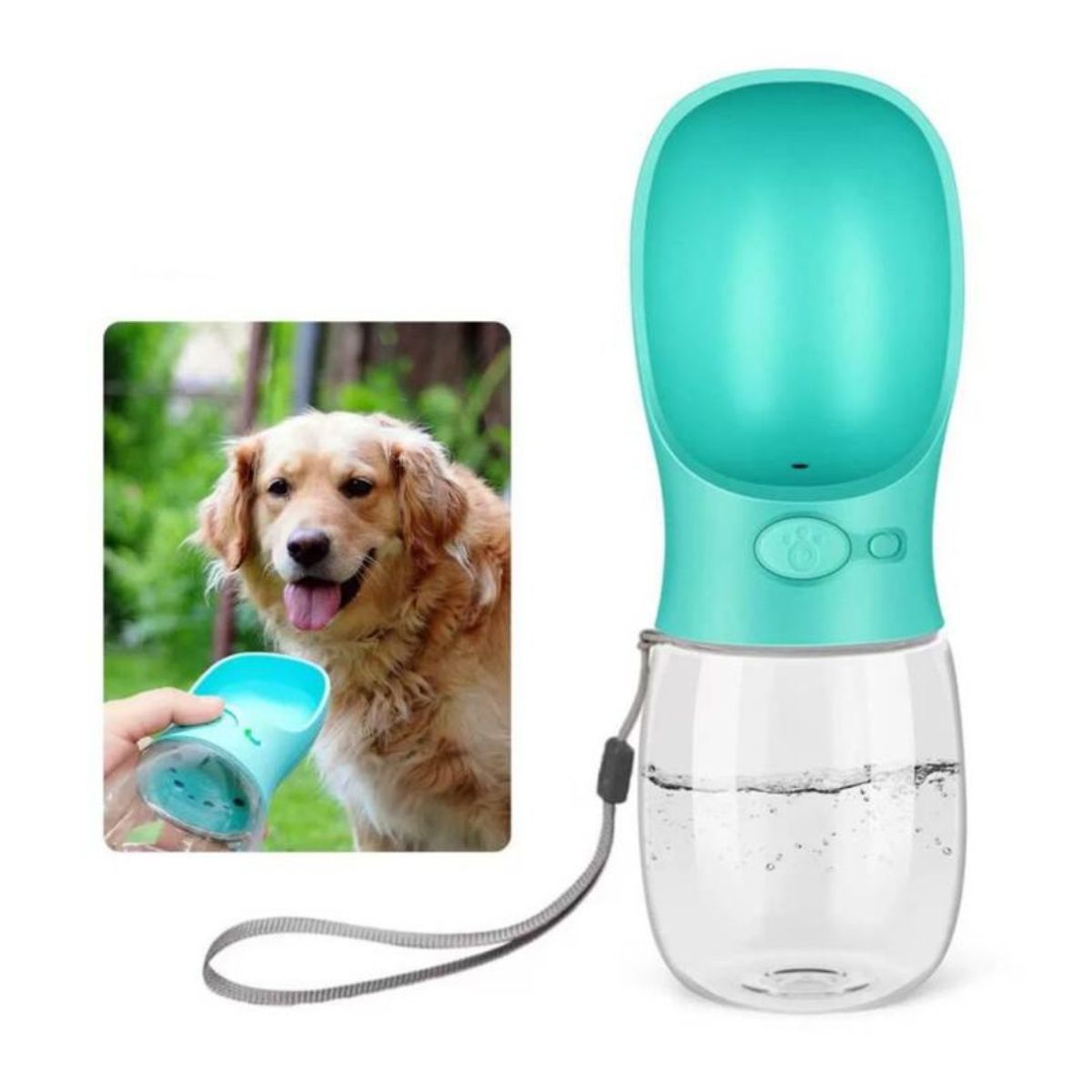 AFM - Bebedero portátil con botón para mascotas