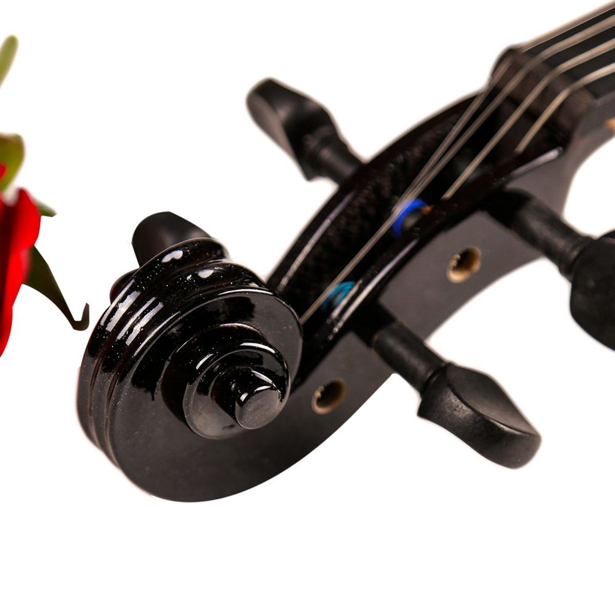 MAGGI - Violin Negro 3-4