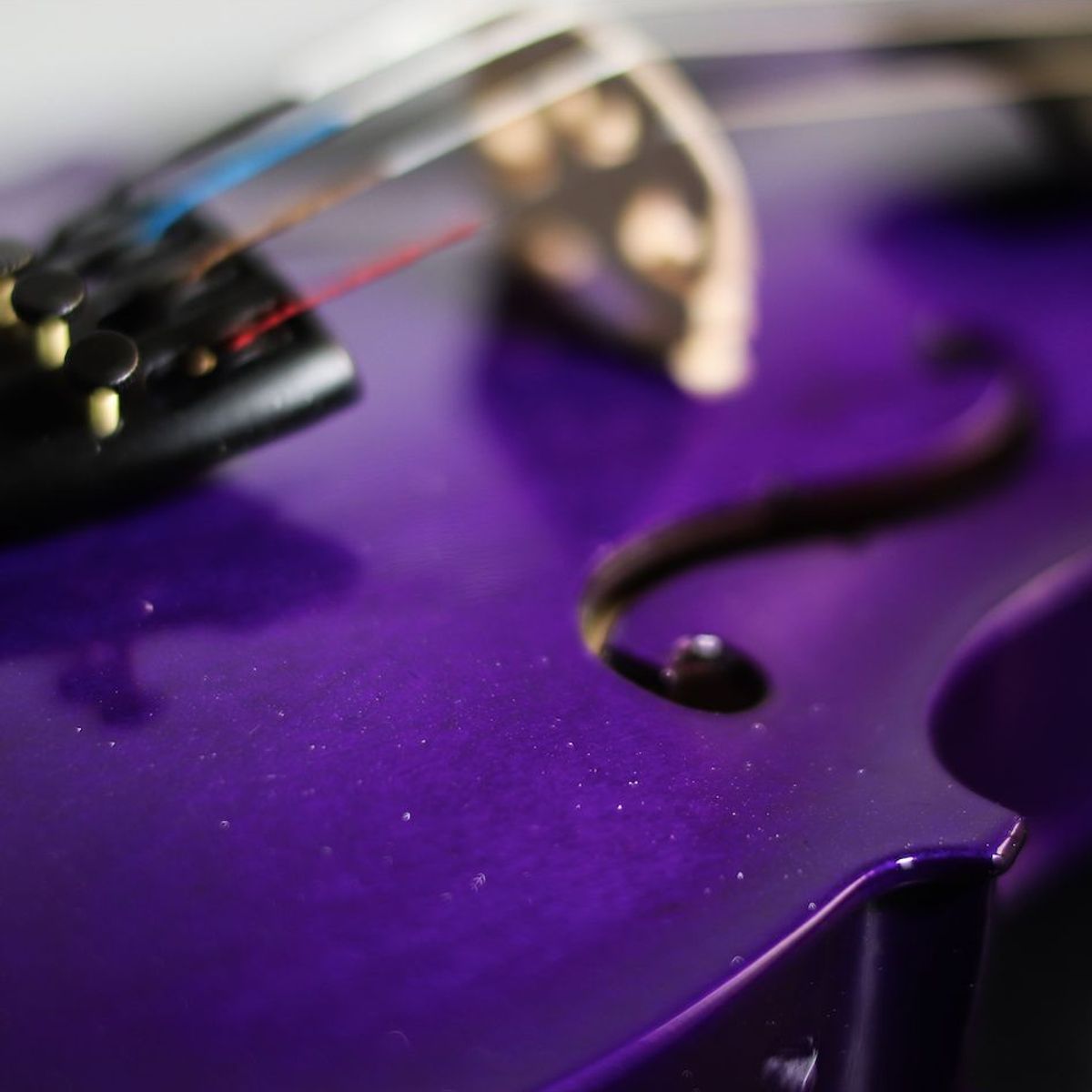 MAGGI - Violin Morado 1-4