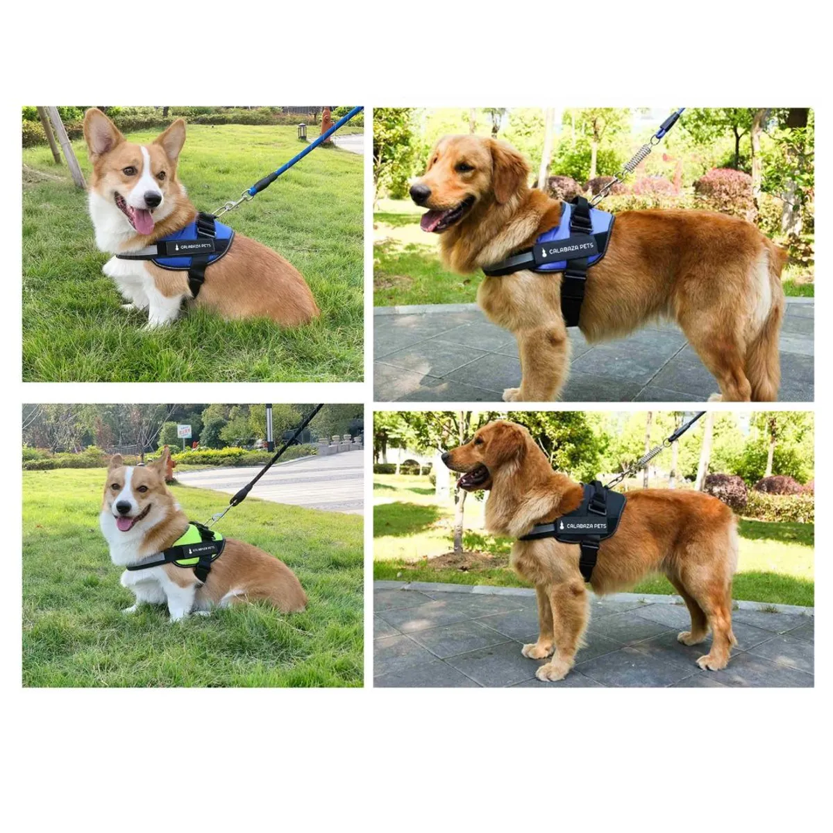 AFM - Arnés Para Perro Anti-tirones Talla XL