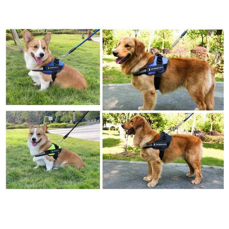 AFM - Arnés Para Perro Anti-tirones Talla XXL