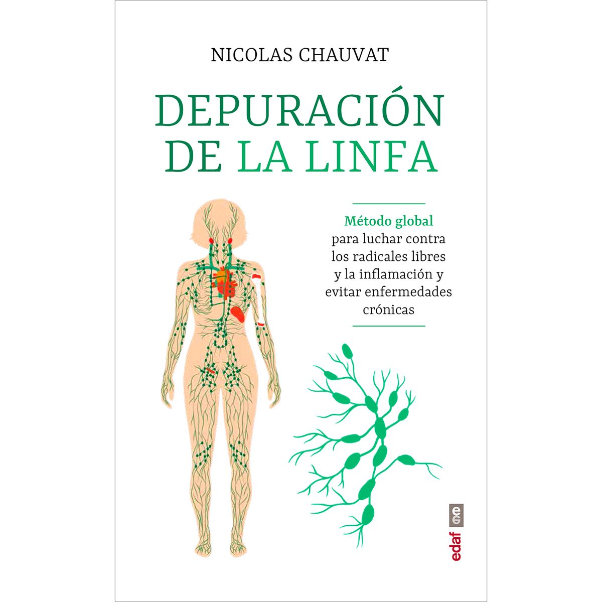 EDAF - Depuración De La Linfa