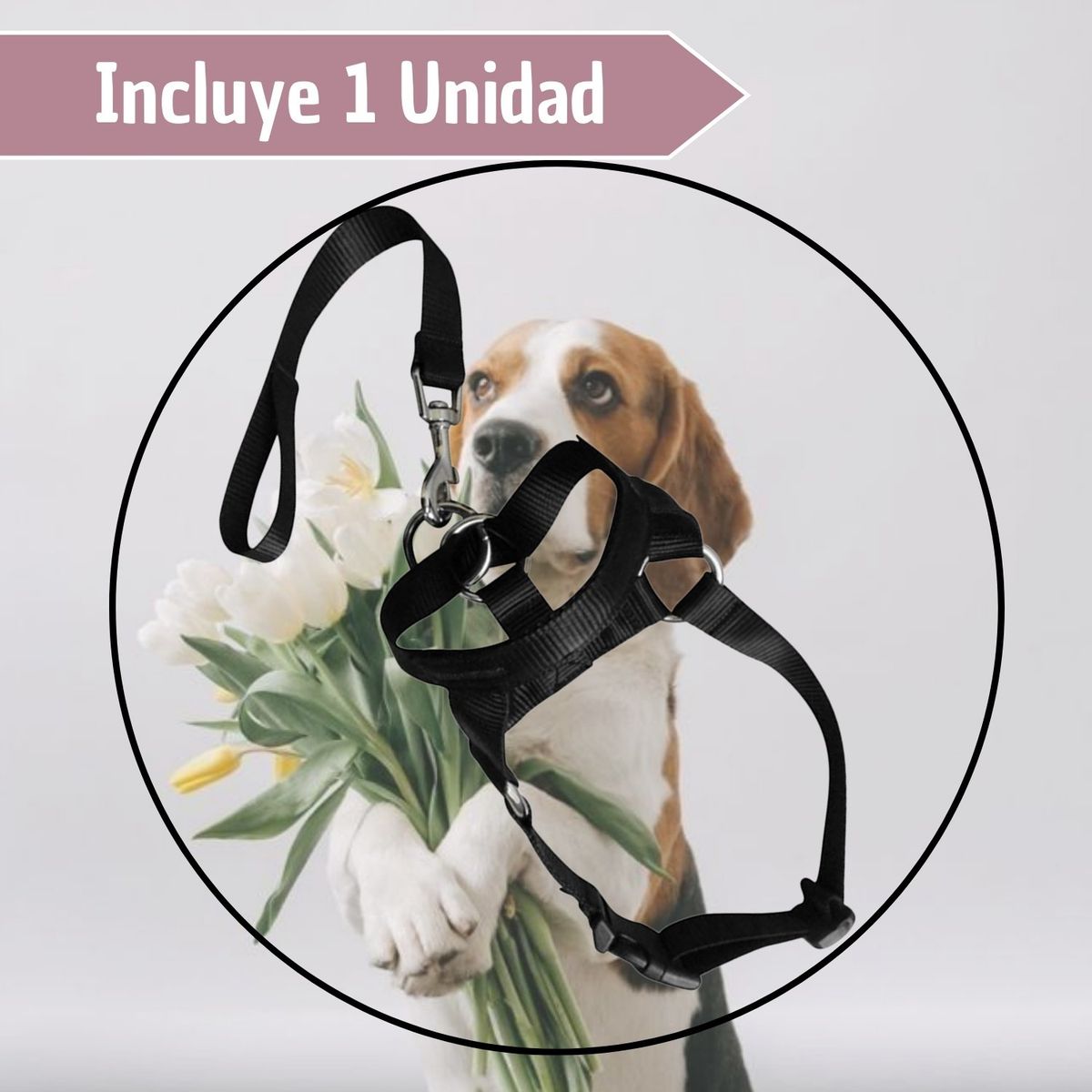 GENERICO - Bozal De Entrenamiento Halti Para Perros Anti Jalones M