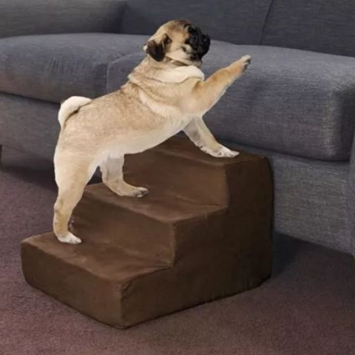 MAOS - Escaleras Para Perros