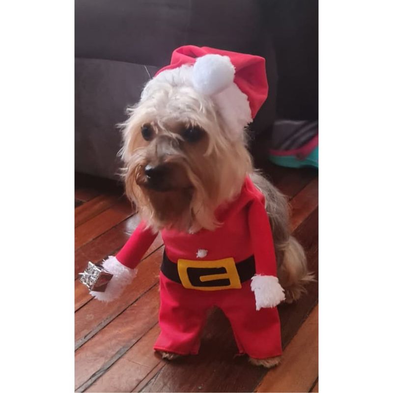 GREEN HANSHENG - Traje Navideño Para Mascota Perro Gato Papa Noel Xxl