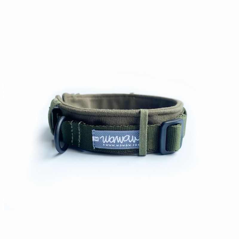 WAWAW - Collar para perro talla XL reata verde protector verde Wawaw