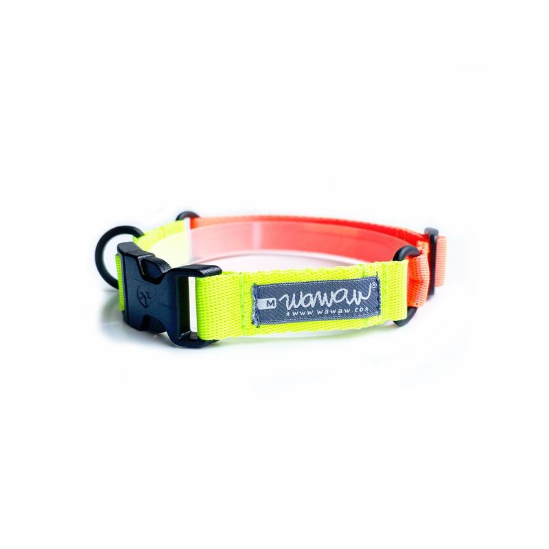 WAWAW - Collar para perro talla XS bicolor amarillo neón y naranja neón Wawaw