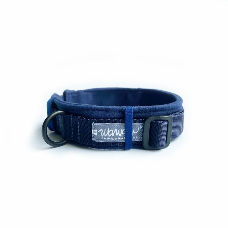 WAWAW - Collar para perro talla XS reata azul protector azul Wawaw