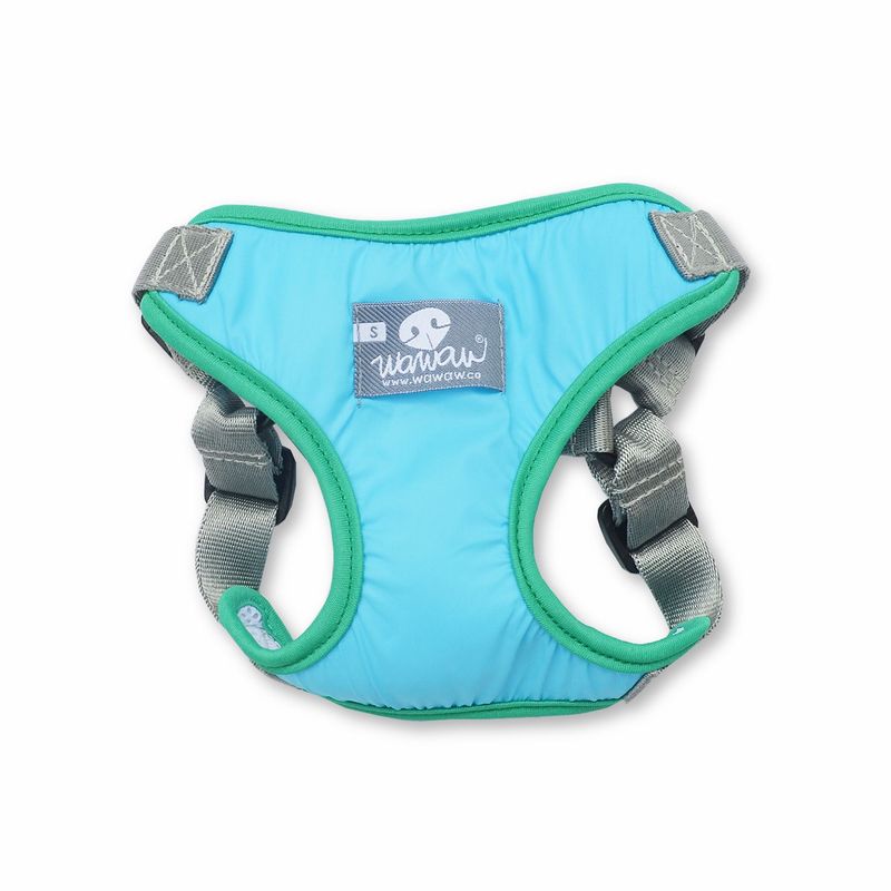 WAWAW - Pechera para perro  talla M azul borde verde Wawaw