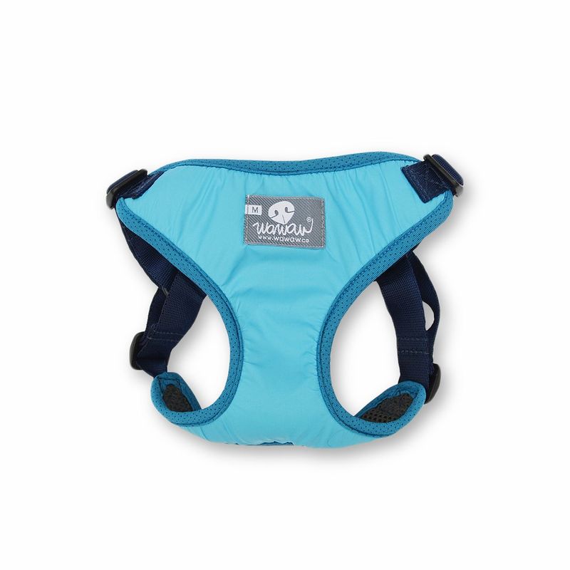 WAWAW - Pechera para perro  talla XL azul borde azul Wawaw