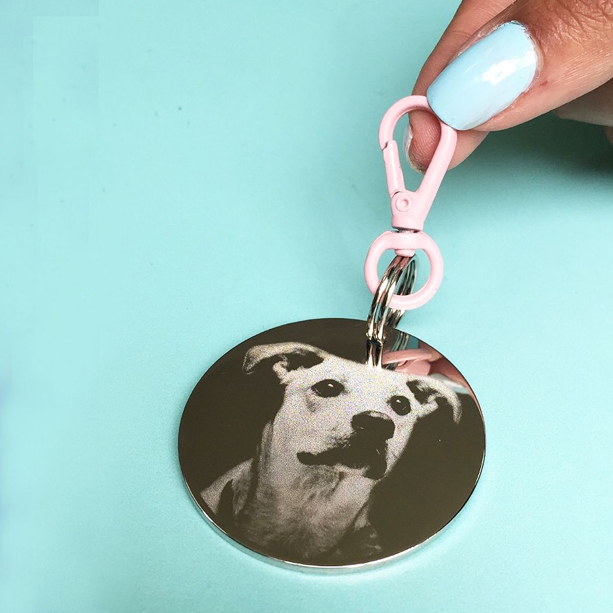 WAWAW - Clip medallas para perro rosa wawaw