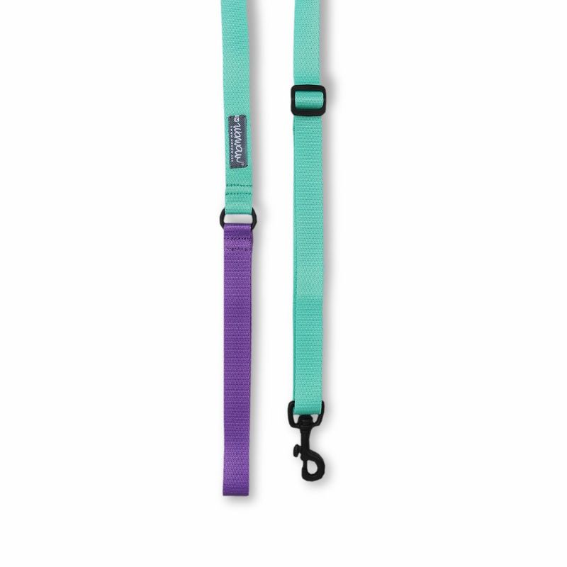 WAWAW - Traílla para perro  talla XS bicolor morado y menta Wawaw