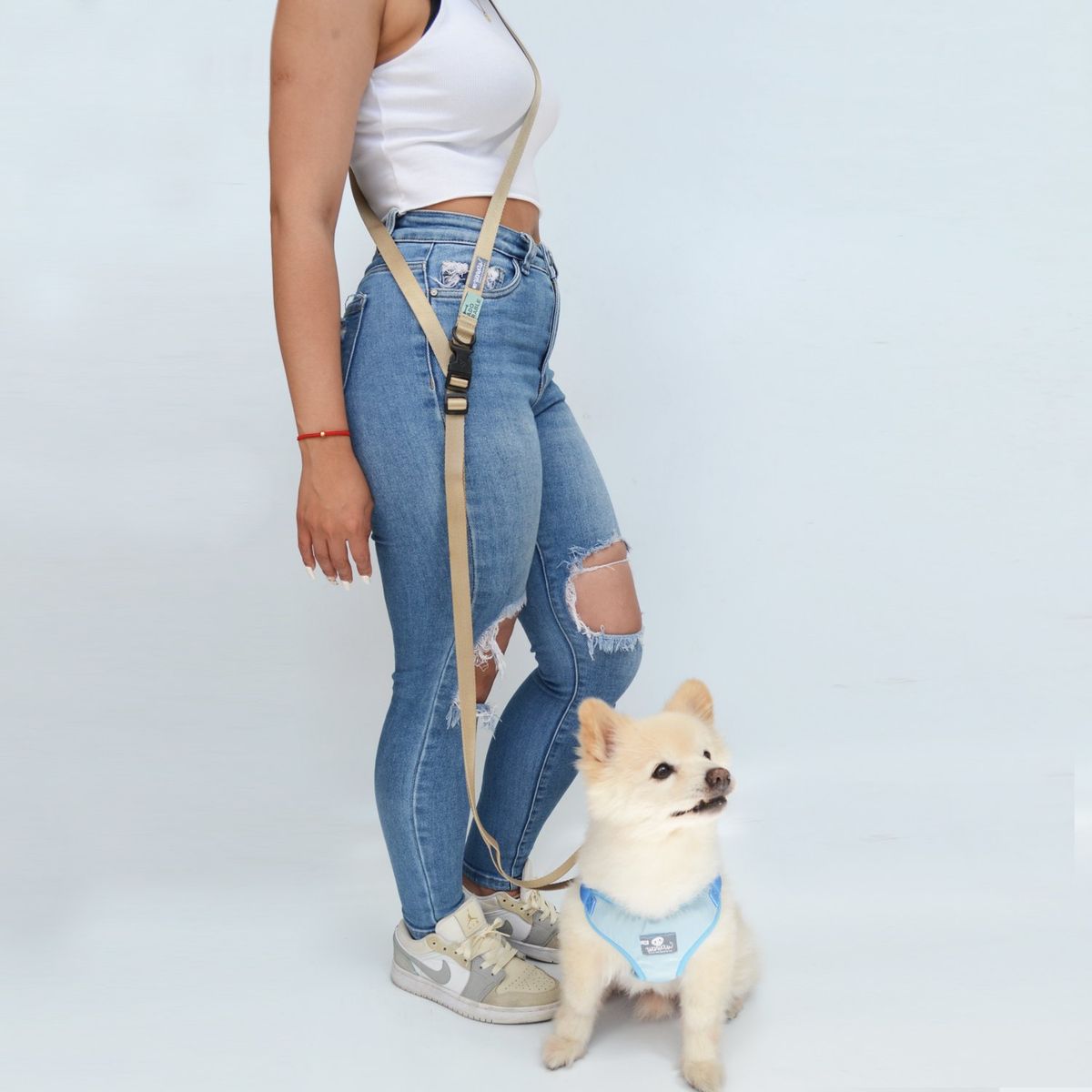 WAWAW - Traílla para perro  talla XS manos libres negro Wawaw