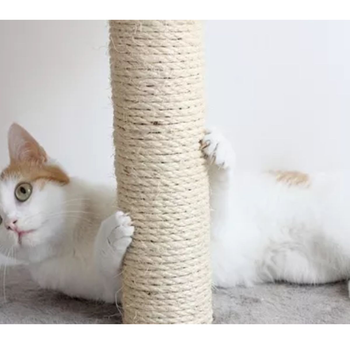 GENERICO - Rollo Cabuya Cuerda Soga Yute Fique Ecologica Rascador Gato