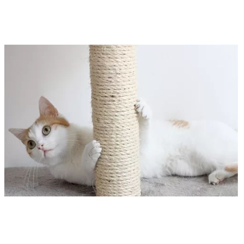 Rollo Cabuya Cuerda Soga Yute Fique Ecologica Rascador Gato