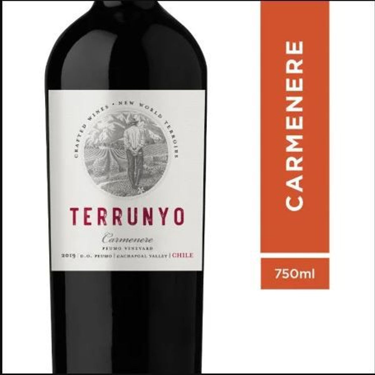 GENERICO - VINO TINTO TERRUNYO CARMENERE, D.O. PEUMO VALLE DEL  CAHAPOAL 2019