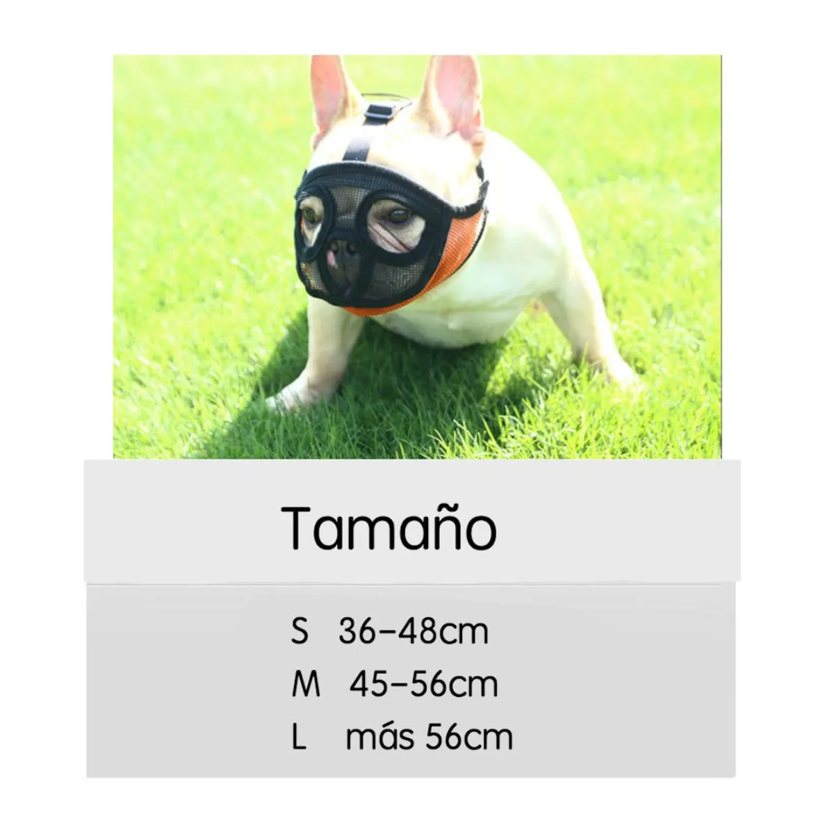 AFM - Bozal para perros ñatos Bulldog talla L