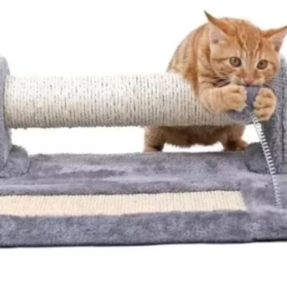 WOOD PETS - GIMNASIO ARBOL RASCADOR  PARA GATO