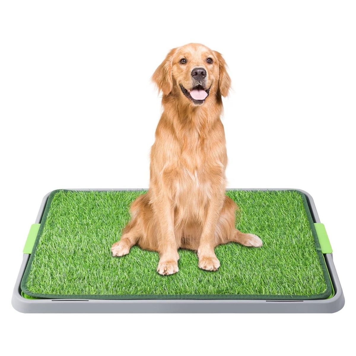 GENERICO - Tapete Entrenamiento Perros Grande