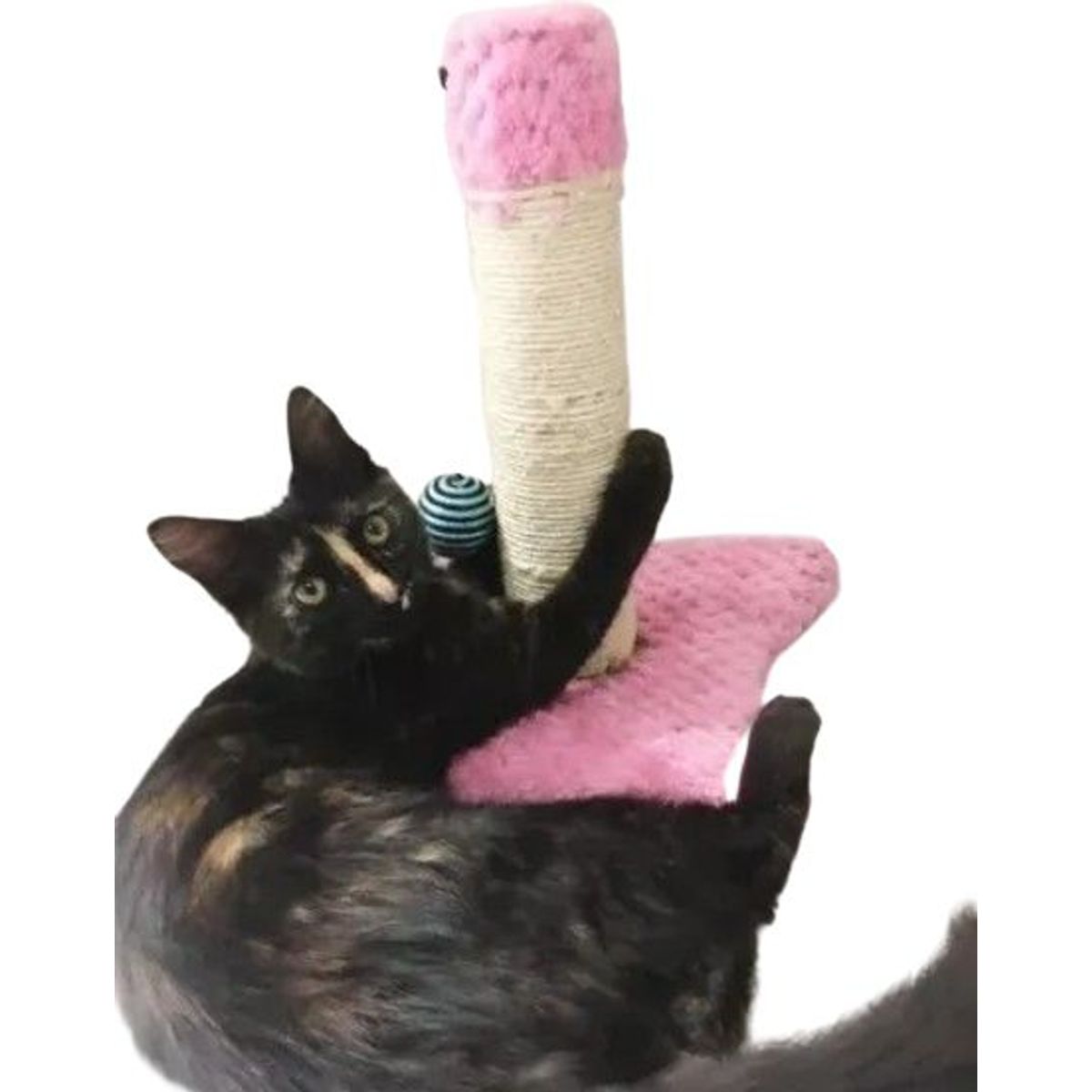 MAOS - GIMNASIO ARBOL RASCADOR PARA GATO