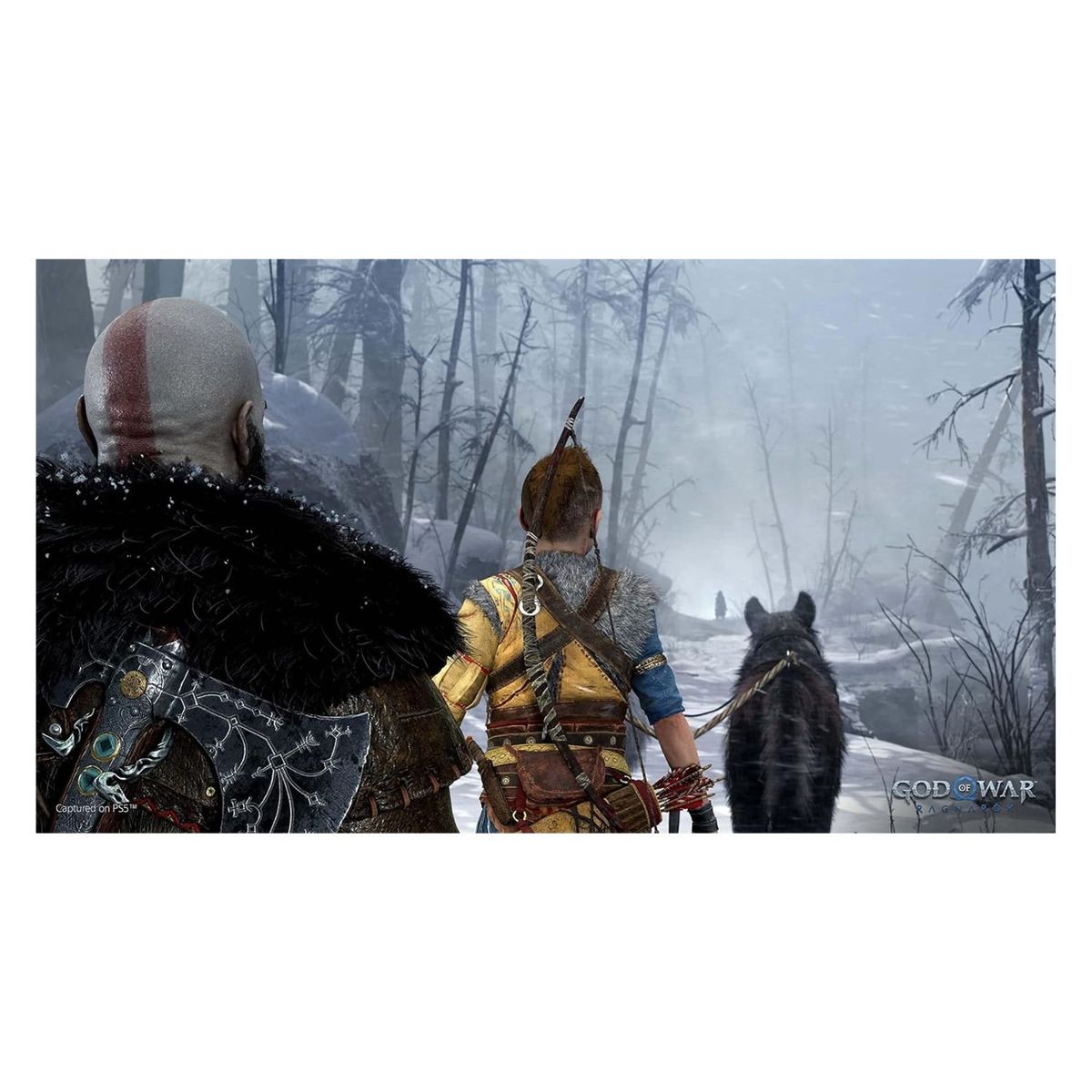 PLAYSTATION - God Of War Ragnarok Ps5 Fisico