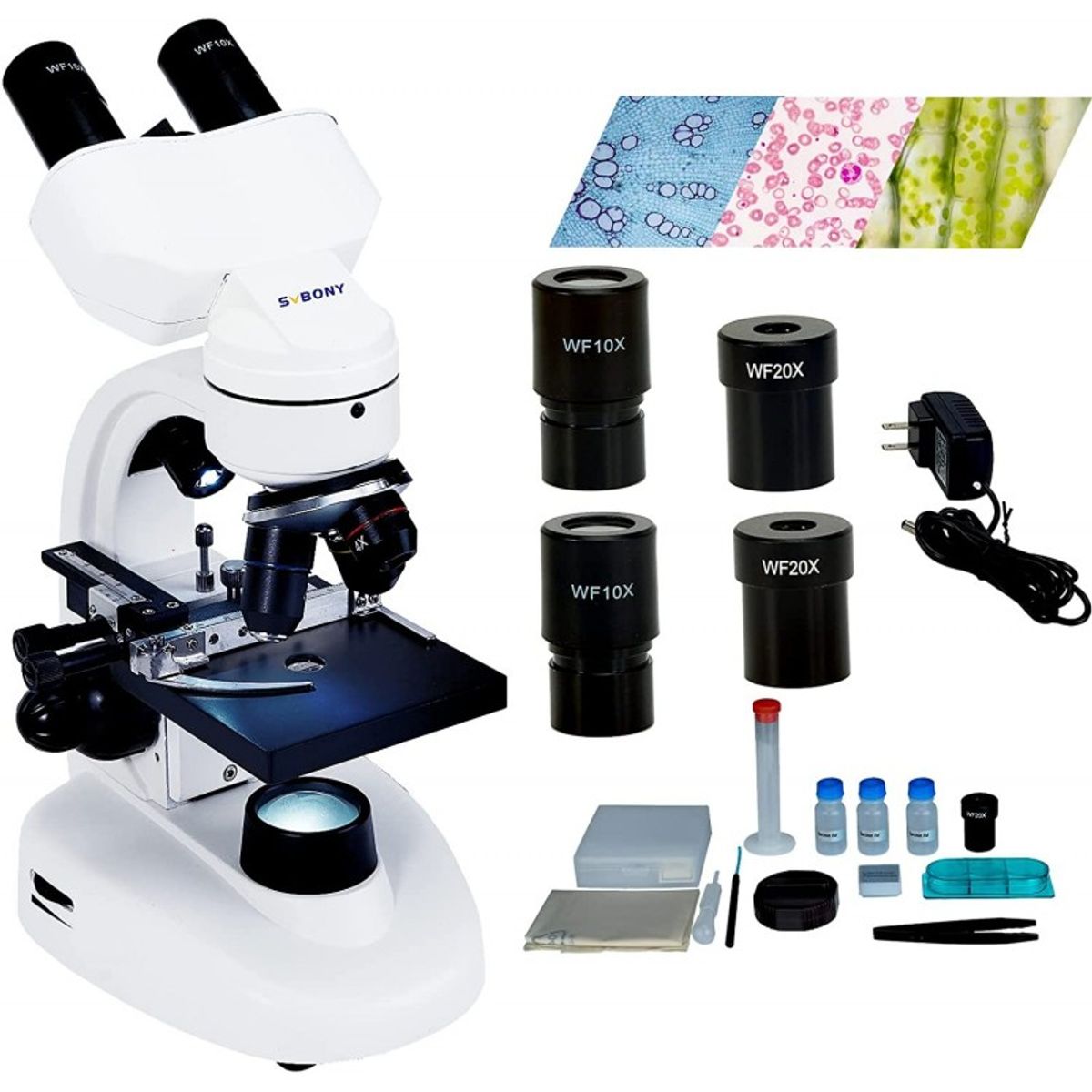 GENERICO - Microscopio Binocular Compuesto SvBony Sv605 80X-1600X