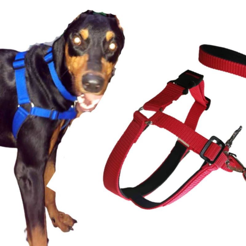GENERICO - Arnés Anti Tirones  Collar  Trailla Talla XXL Rojo