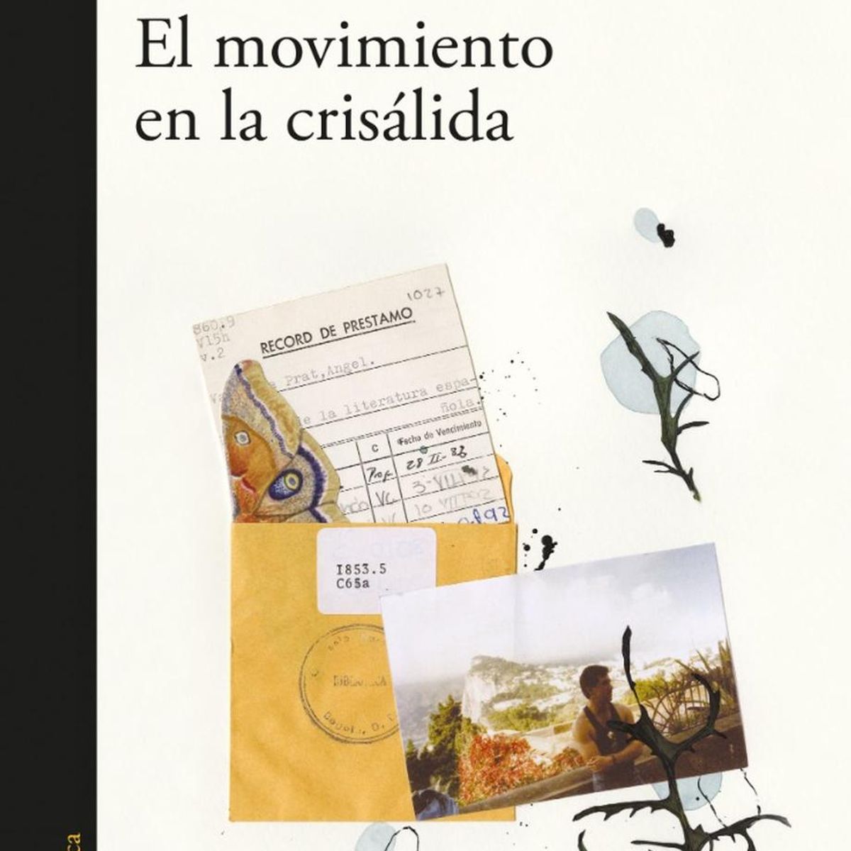 PENGUIN RANDOM HOUSE - El Movimiento En La Crisálida. Catalina Navas
