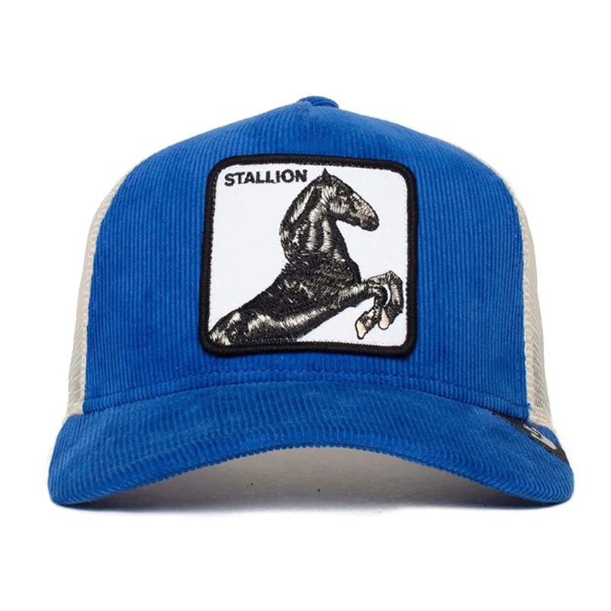 GOORIN BROS - GORRA GOORIN BROS STALLION PANA