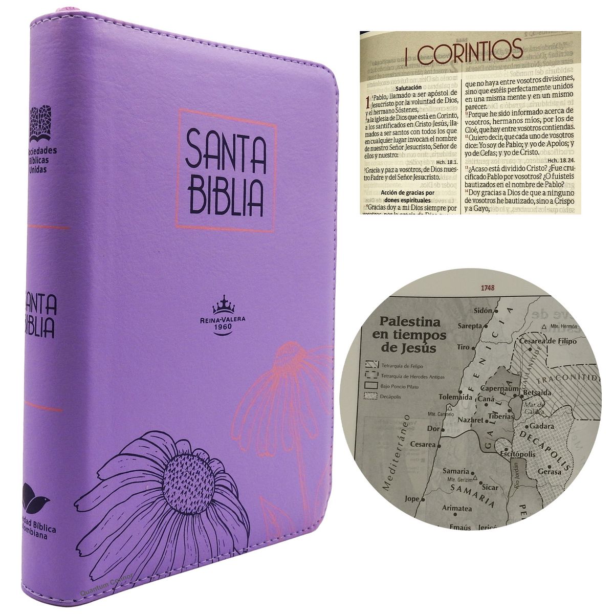 SBC - Biblia Cristiana Reina Valera 1960 Letra Tamaño Grande  - Canto Lila