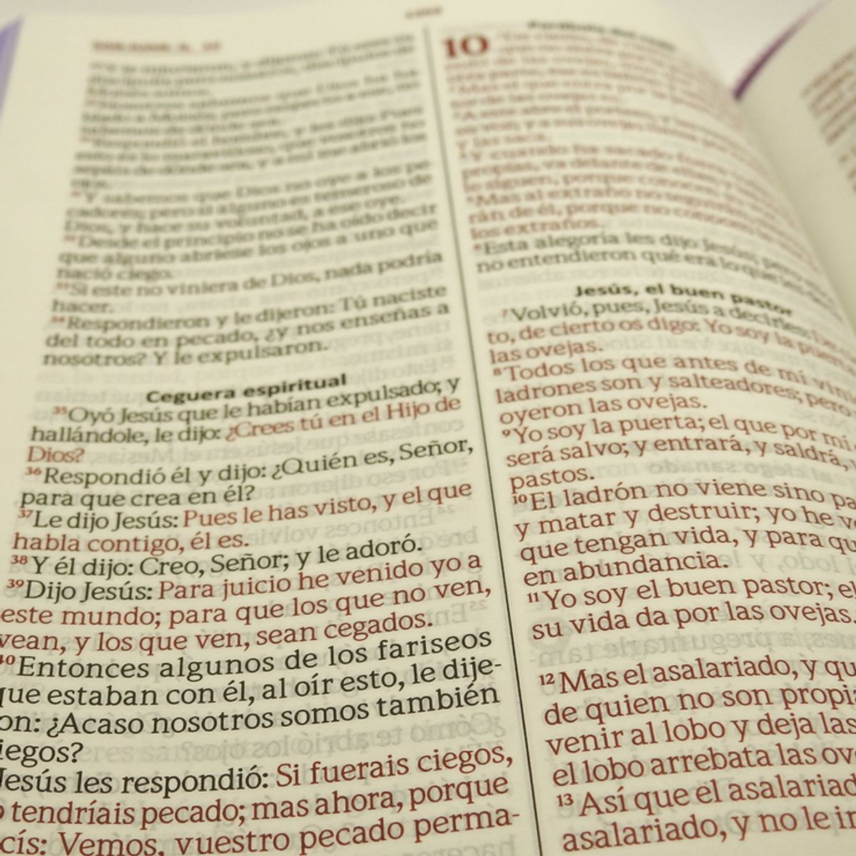 SBC - Biblia Cristiana Reina Valera 1960 Letra Tamaño Grande  - Canto Lila