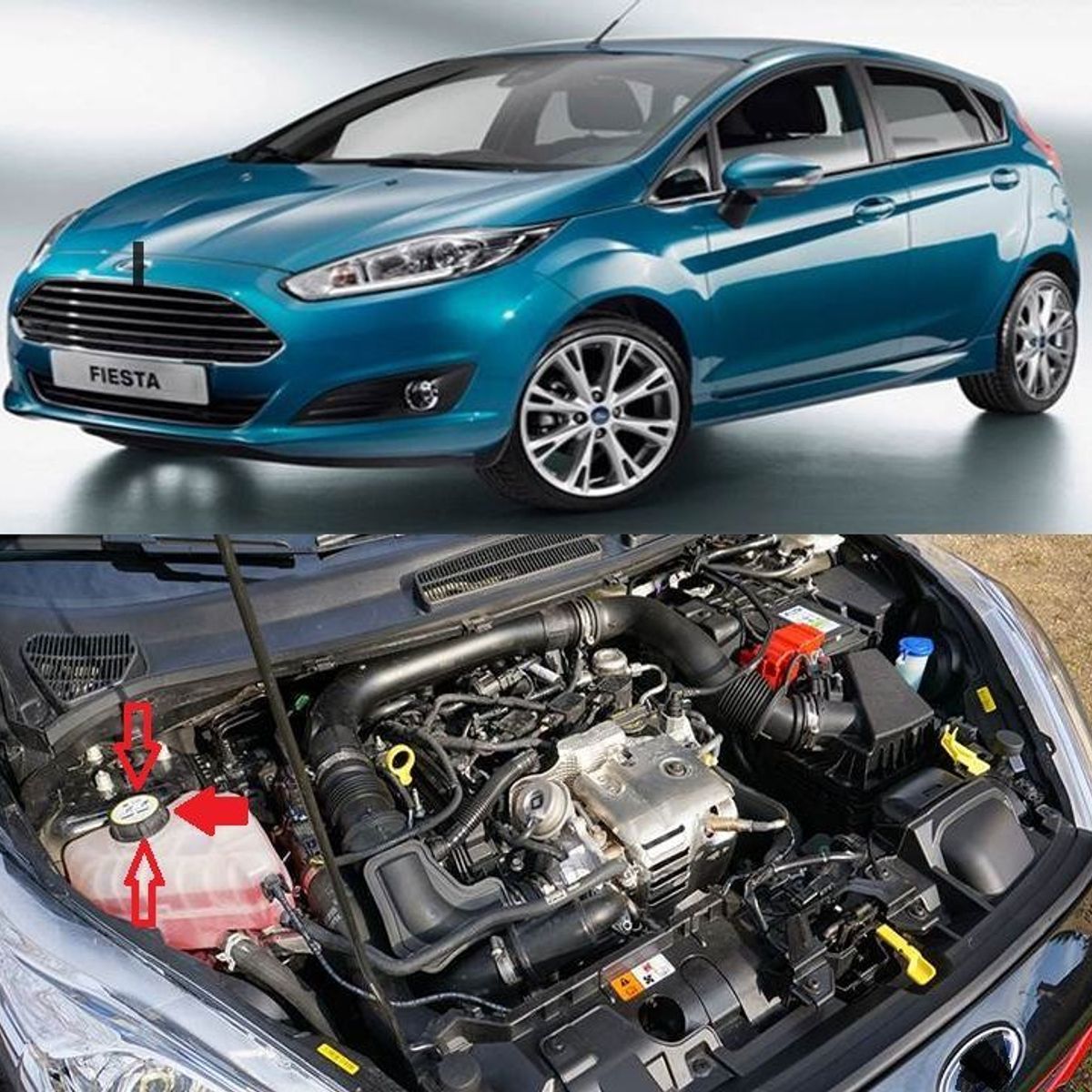 GENERICO - accesorios ford fiesta ecosport escape tapa refrigerante