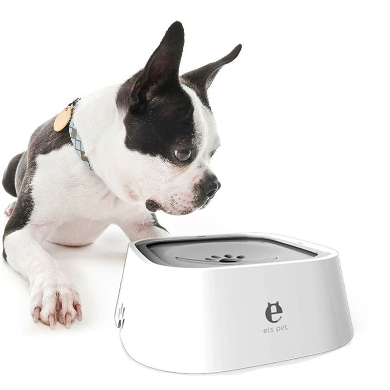 GENERICO - Dispensador Bebedero De Agua Para Perros Y Gatos