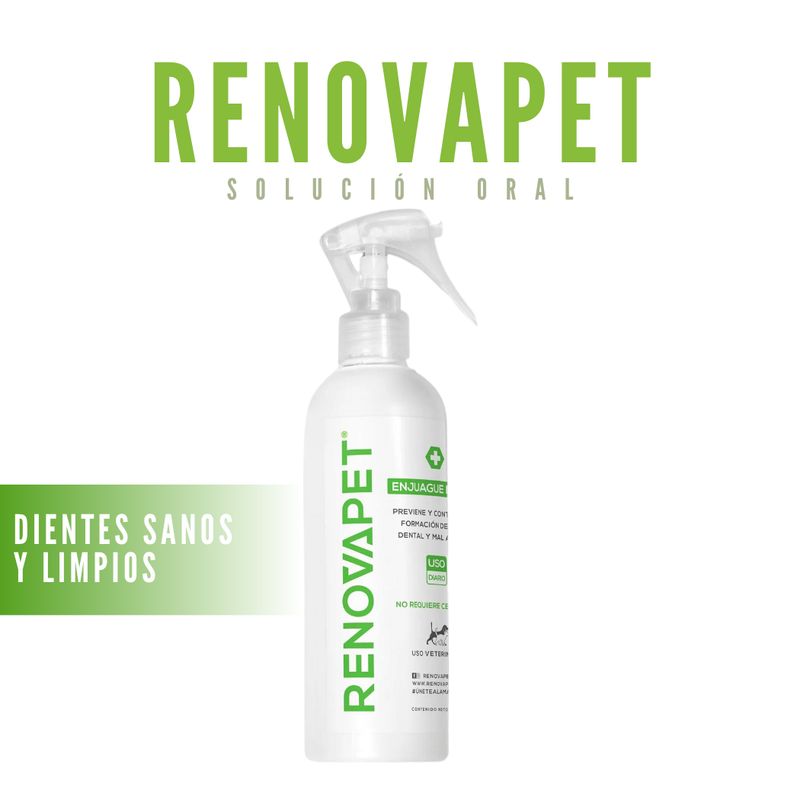 GENERICO - RENOVAPET ORAL