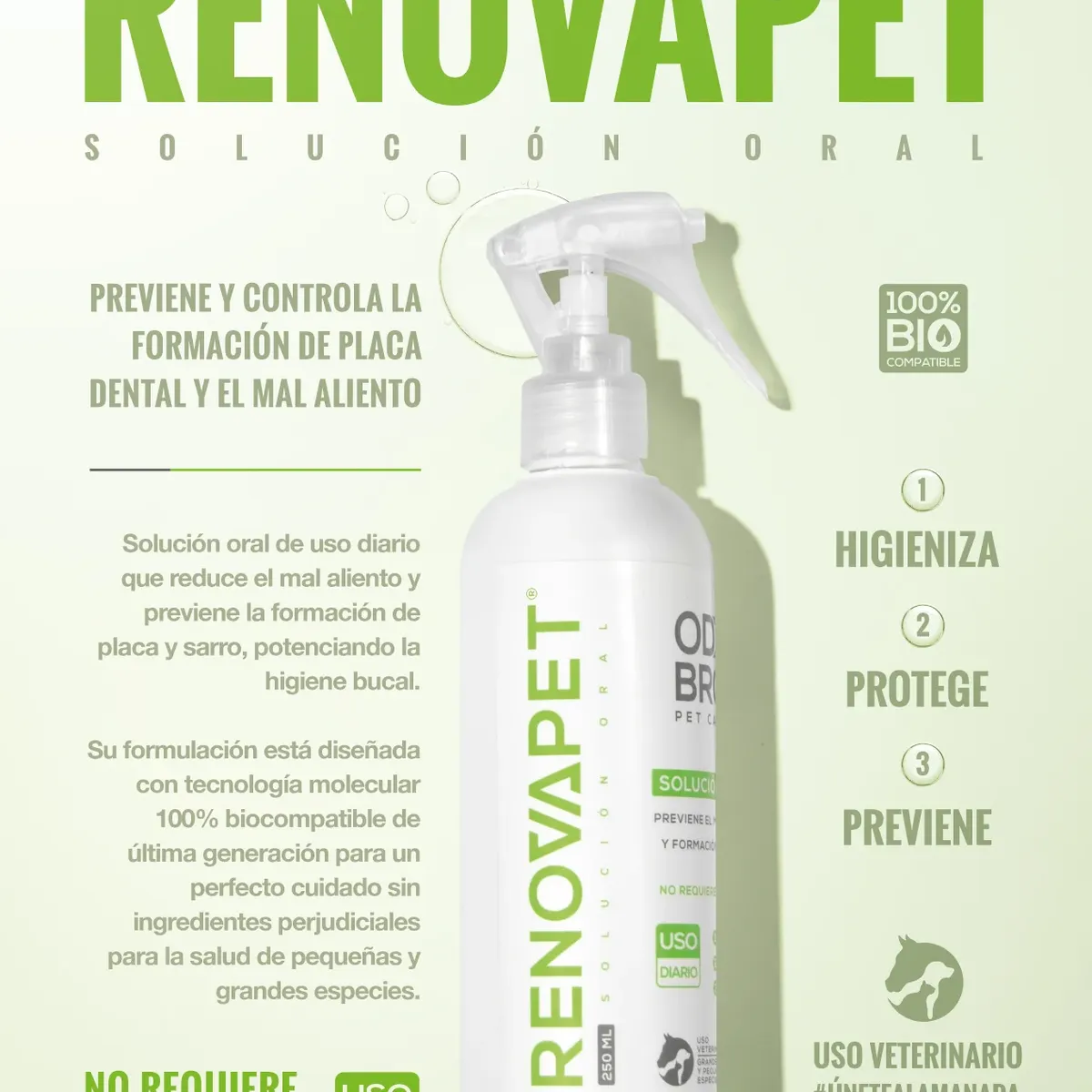 GENERICO - RENOVAPET ORAL