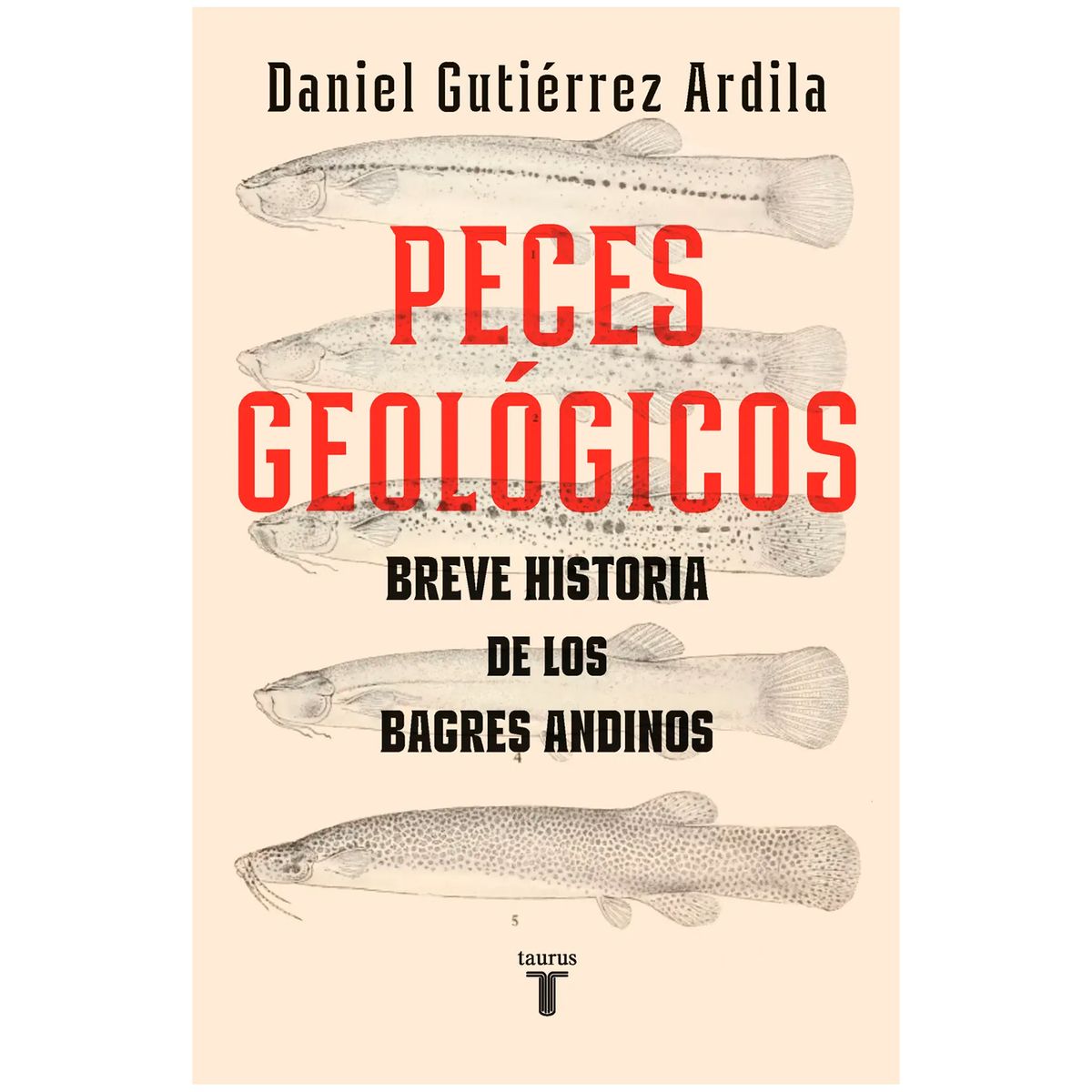 TAURUS - Peces Geológicos. Daniel Gutiérrez Ardila