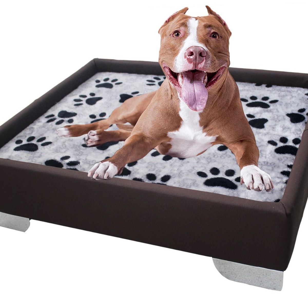 WOOD PETS - BASE CAMA EN MADERA ACOLCHADA PARA PERRO