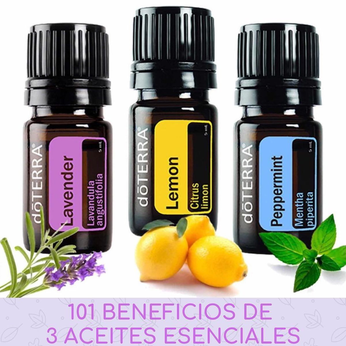 AROMAVIDA - Kit de Aceites Esenciales doTERRA - Original