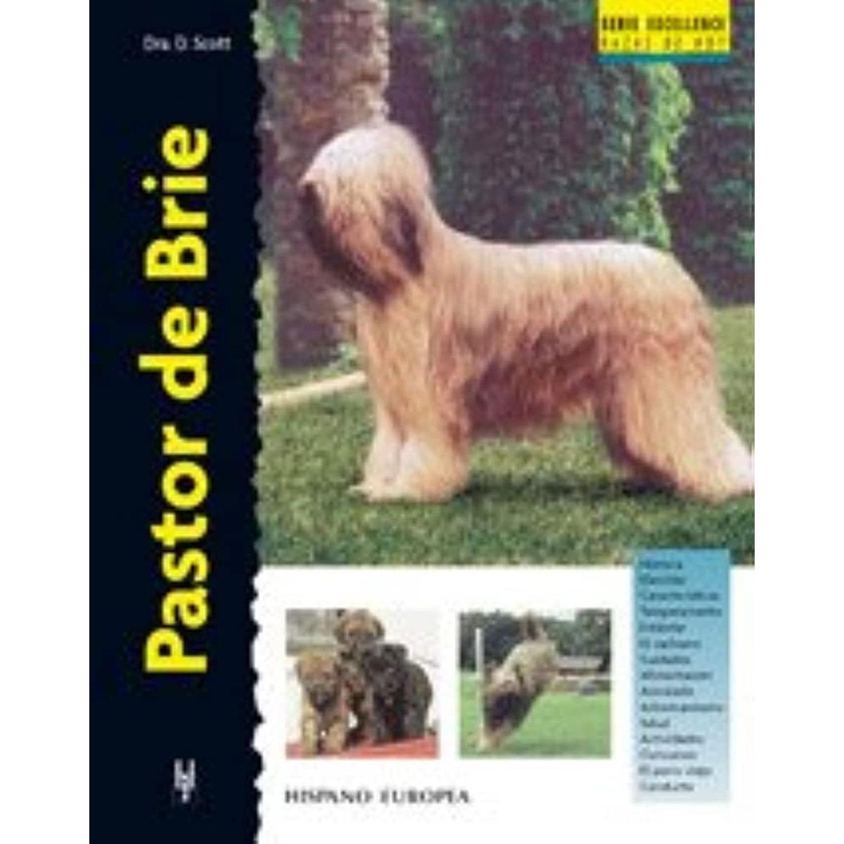 GENERICO - Pastor De Brie. Excellence