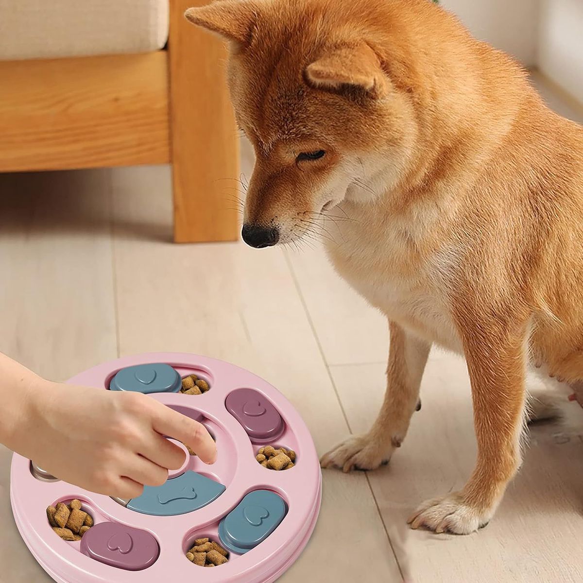 GENERICO - Comedero didactico para mascota tazon interactivo FK23D-152