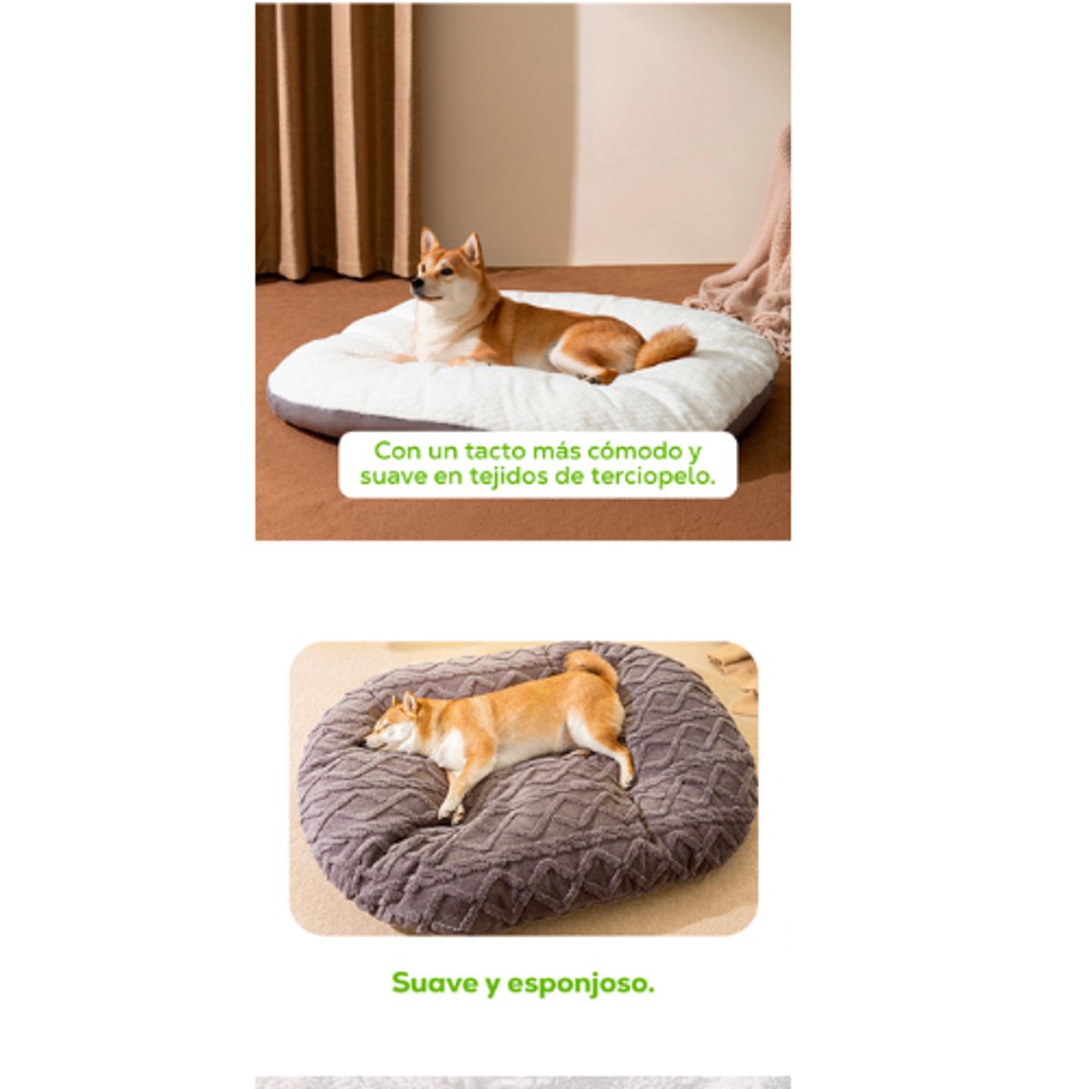 AFM - CAMA OVALADA MEDIANA PARA MASCOTAS-OBSEQUIO