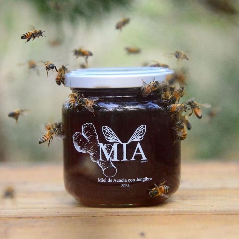 MIA - MIEL DE ABEJAS CON JENGIBRE 280gr
