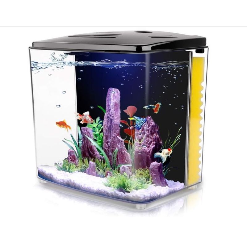 GENERICO - Azul De Metileno Pez Peces Pecera Acuarios Profiláctico Gotas