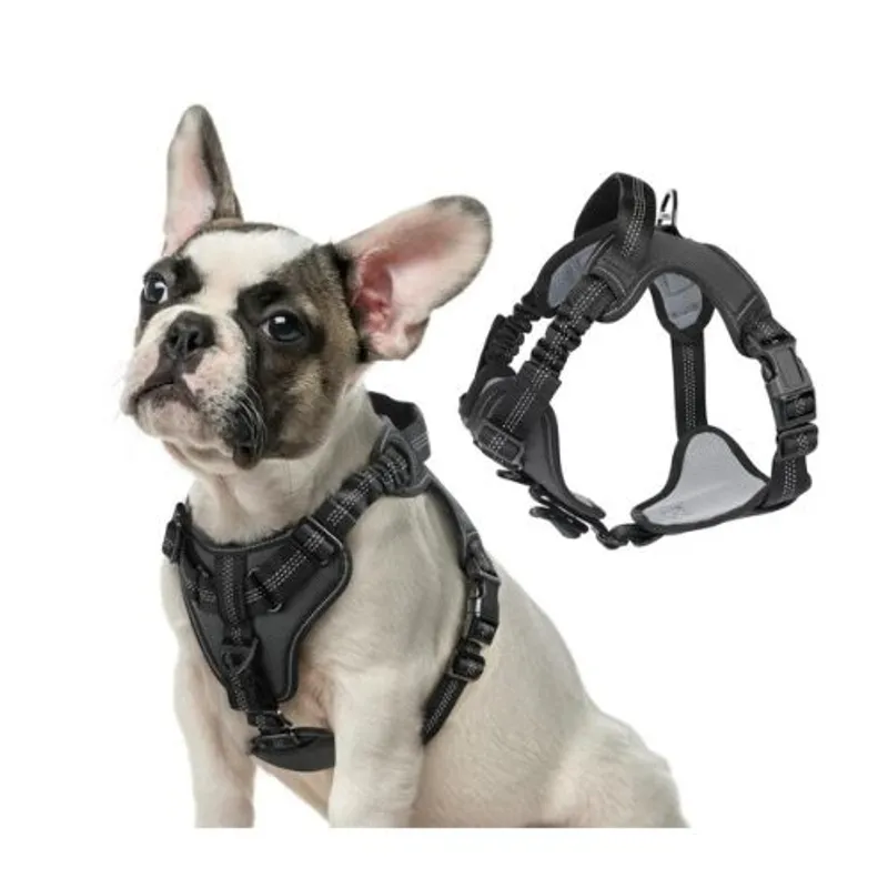 AFM - PECHERA CON ABSORCIÒN DE IMPACTO PARA PERROS TALLA M