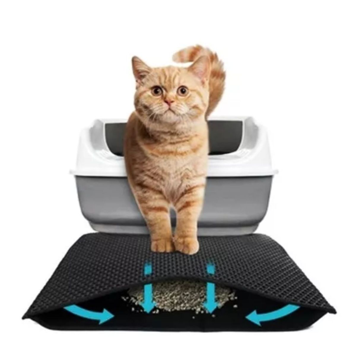 AFM - TAPETE CERNIDOR DE ARENA GRANDE PARA GATOS