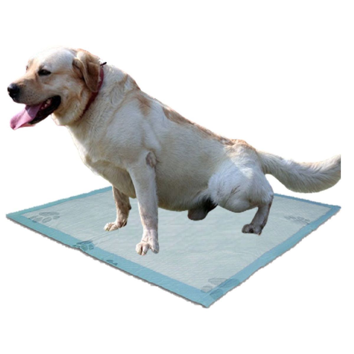 HALLY PET - 40 Und Tapetes Absorbentes 90 Cm X 60 Cm Para Mascotas.---_.