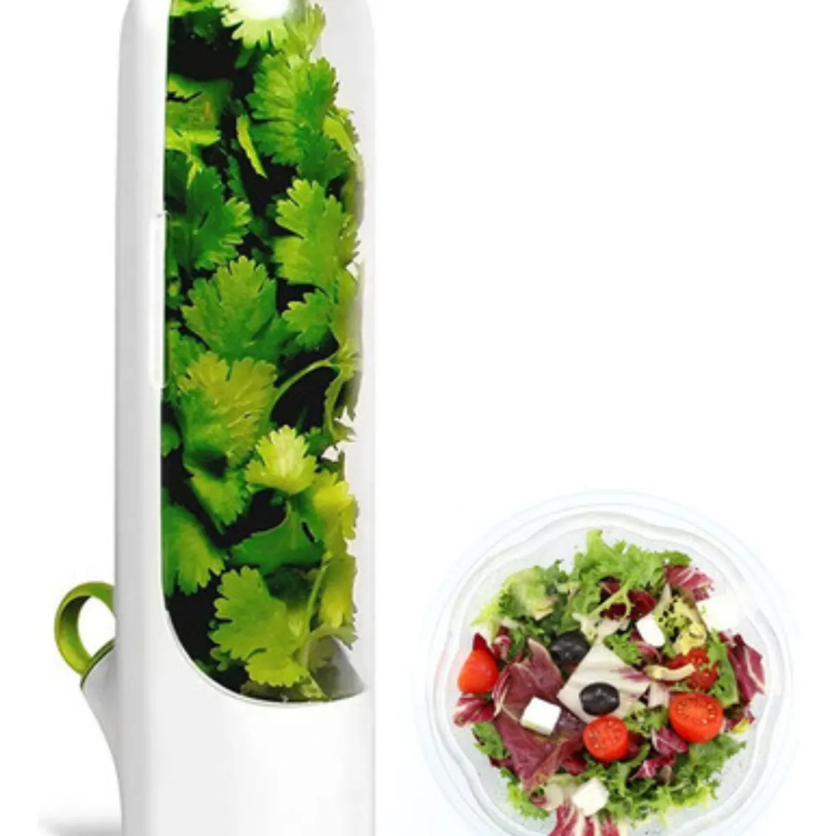 GENERICO - Cápsula Para Consevar Hierbas En La Nevera Cilantro Otros