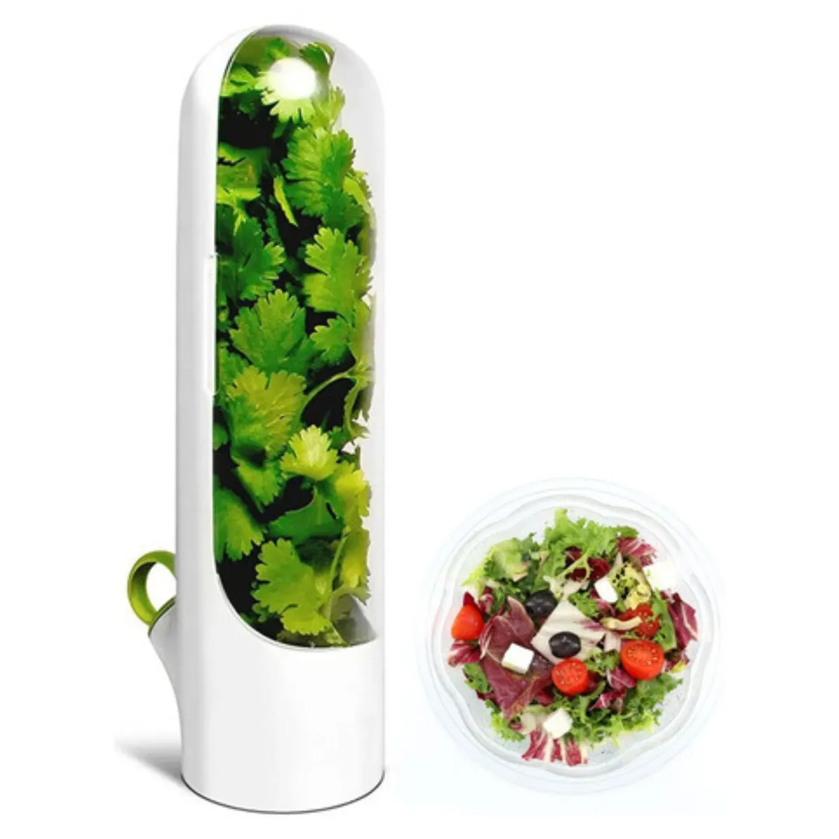 GENERICO - Cápsula Para Consevar Hierbas En La Nevera Cilantro Otros