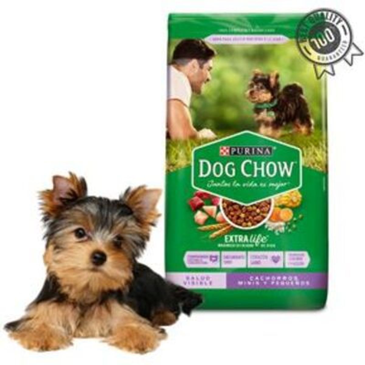 DOG CHOW - DOG CHOW SALUD VISIBLE CACHORROS MINIS Y PEQUEÑOS